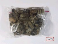 藏品(兩種鹿類牙床.單牙)的圖片